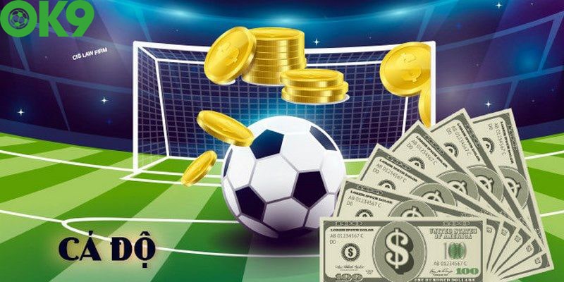 Sức hút của cá cược bóng đá OK9